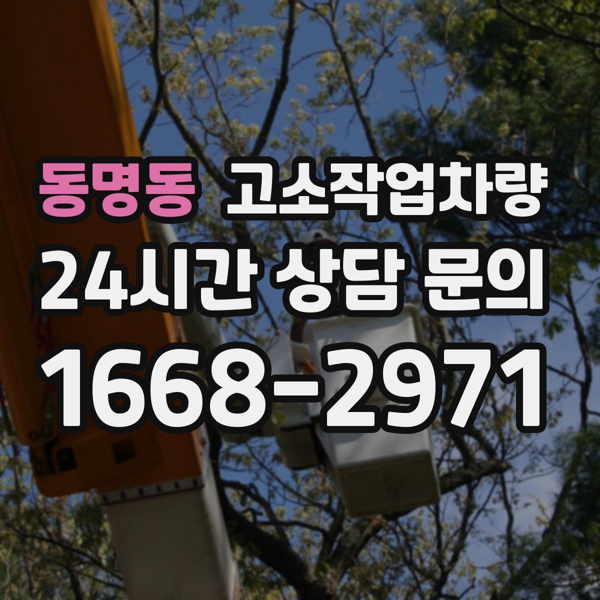 동명동 고소작업차량