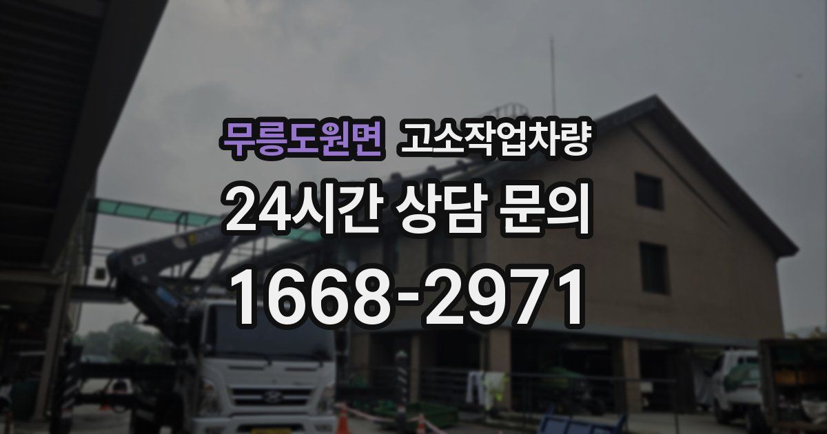 무릉도원면 고소작업차량