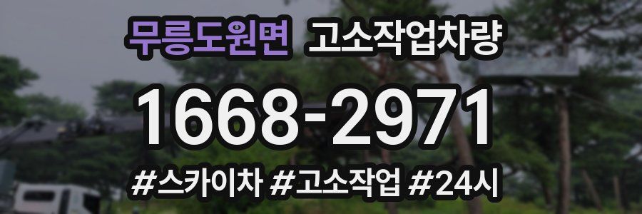 무릉도원면 고소작업차량