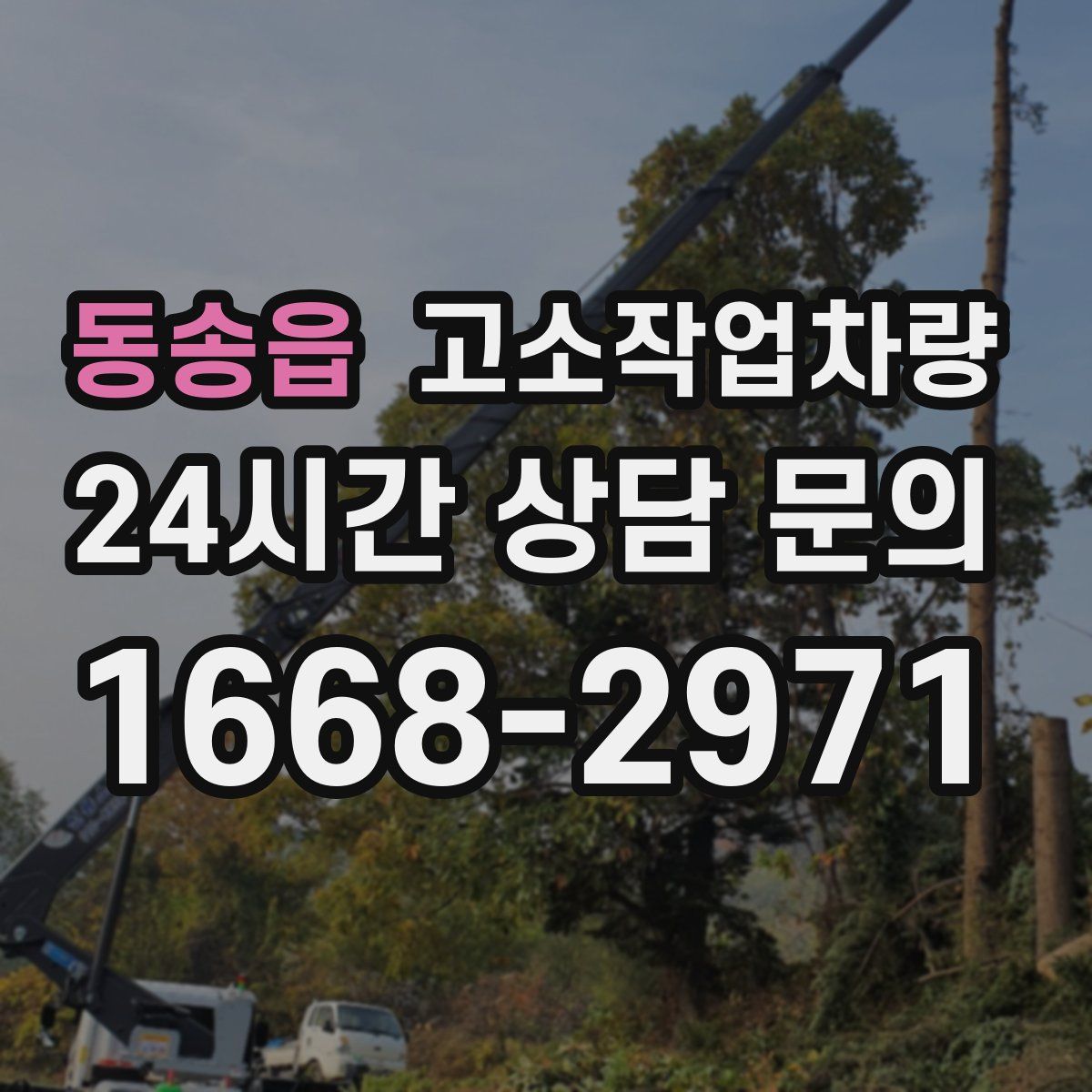 동송읍 고소작업차량