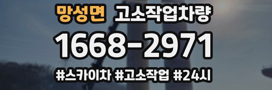 망성면 고소작업차량
