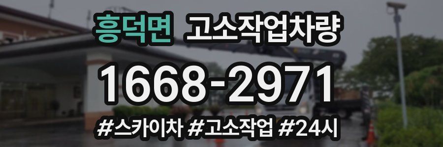 흥덕면 고소작업차량