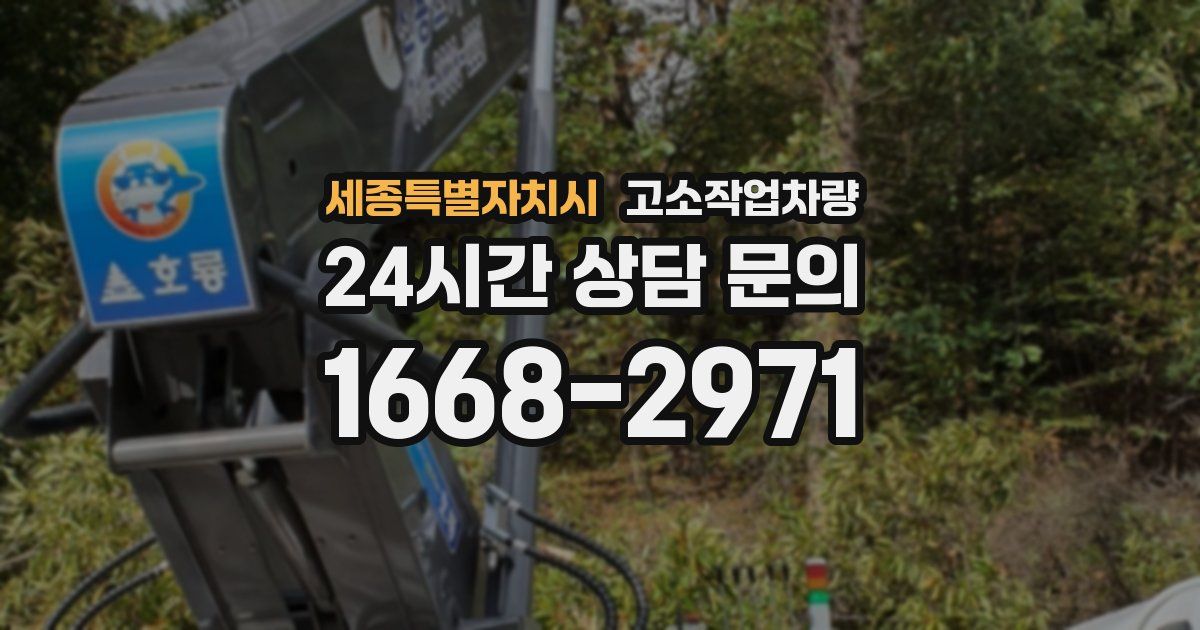 세종특별자치시 고소작업차량