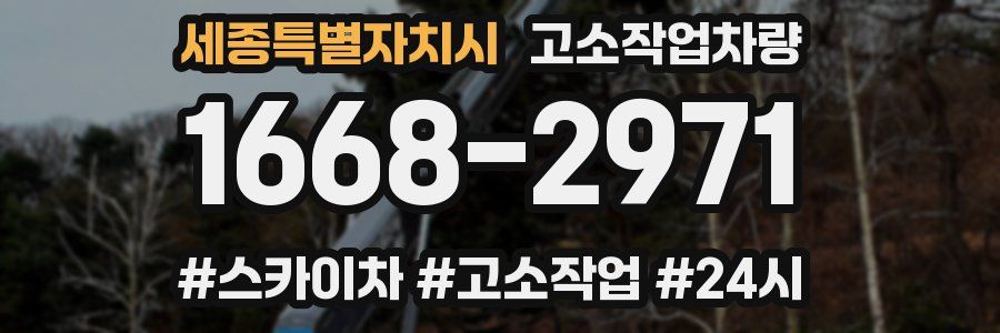 세종특별자치시 고소작업차량
