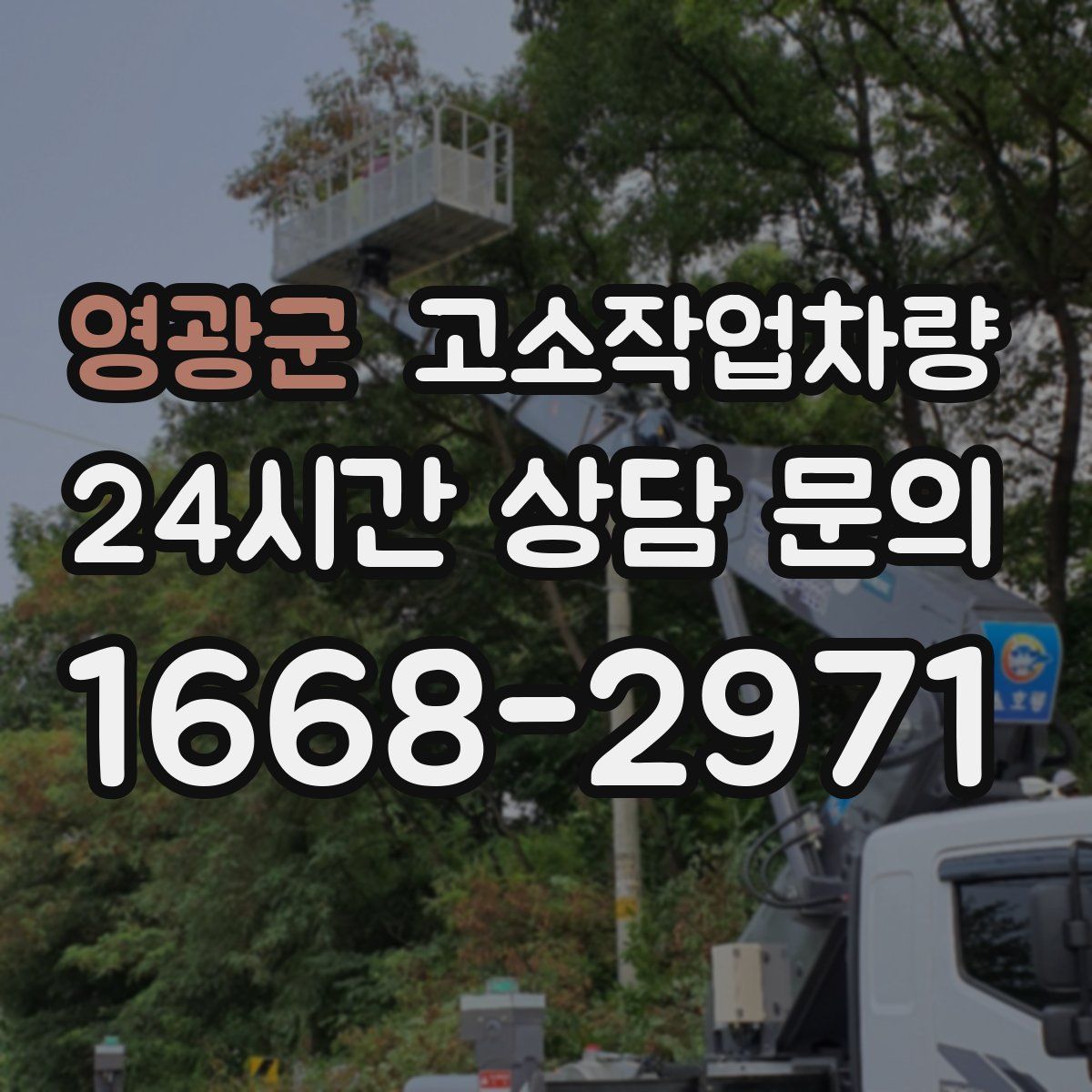 영광군 고소작업차량