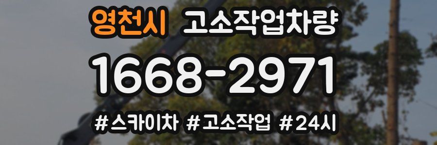 영천시 고소작업차량