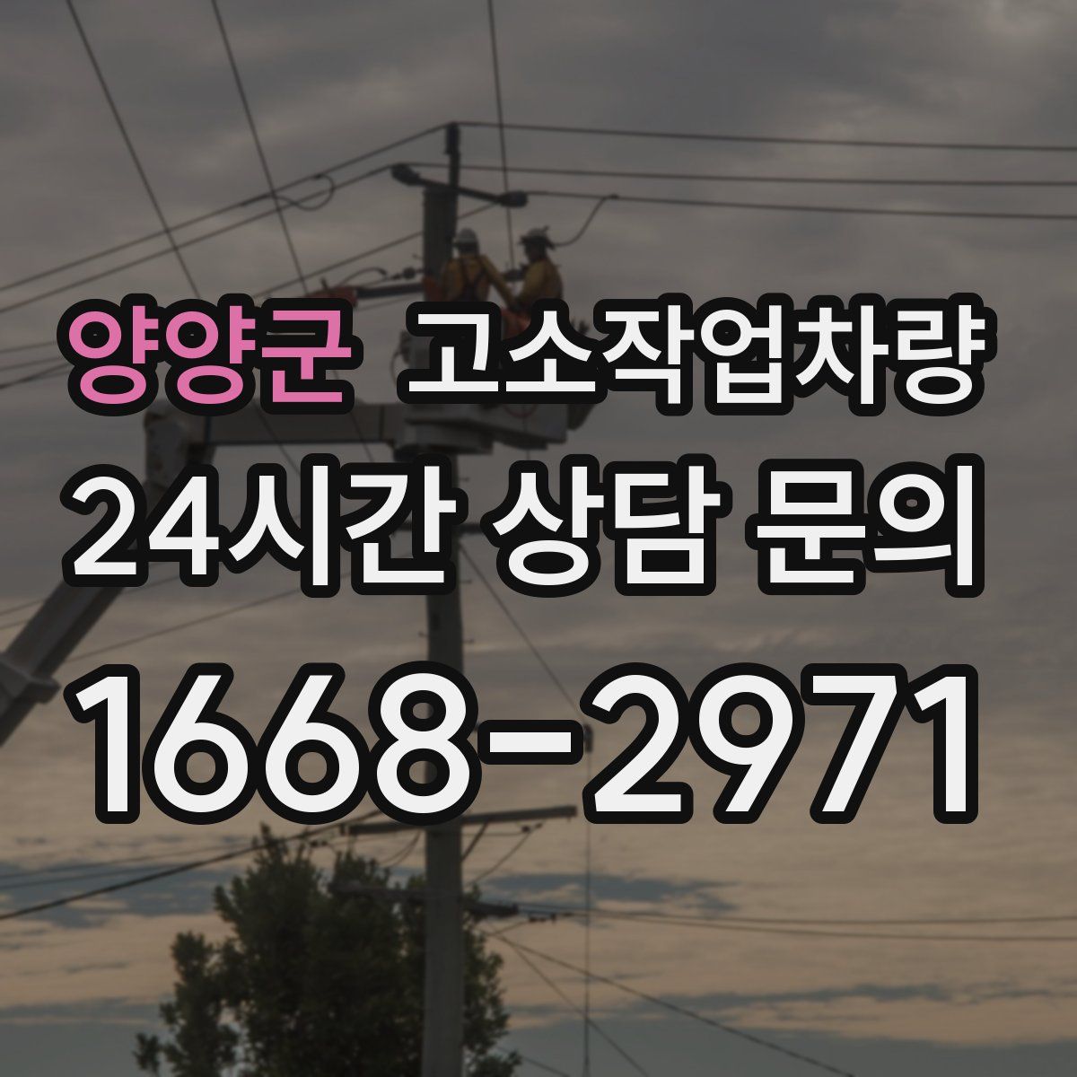 양양군 고소작업차량