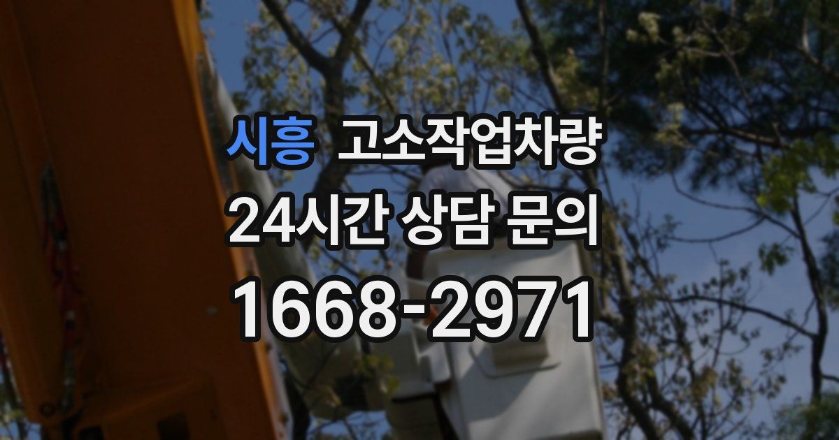 시흥 고소작업차량