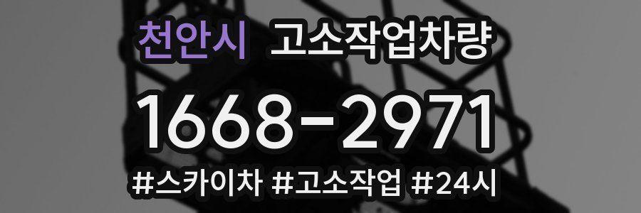 천안시 고소작업차량