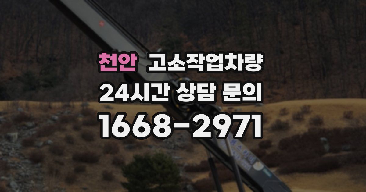 천안 고소작업차량