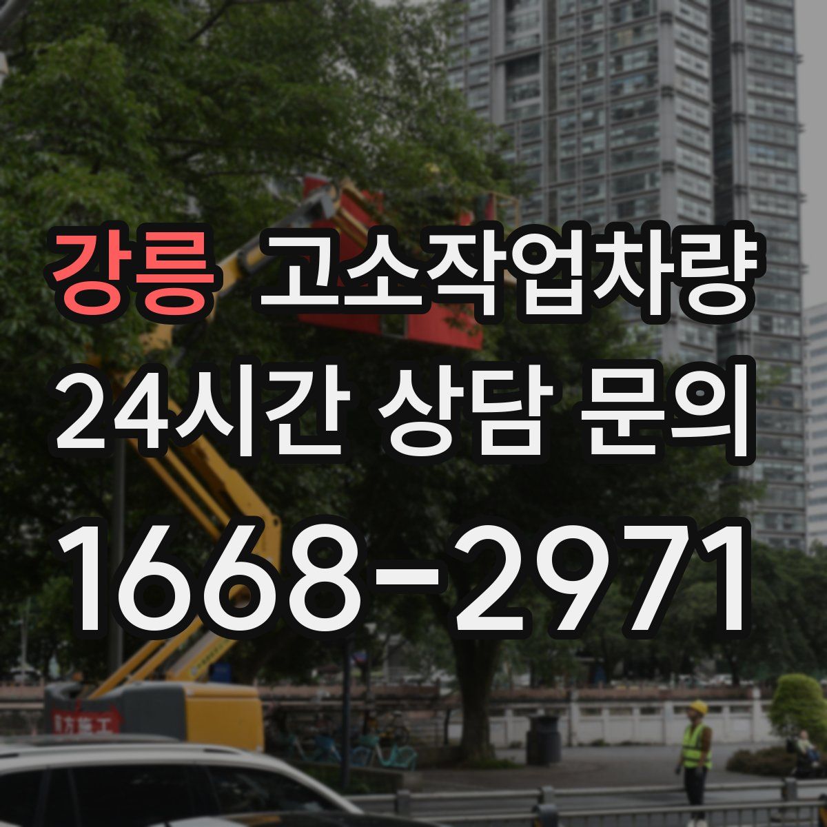 강릉 고소작업차량