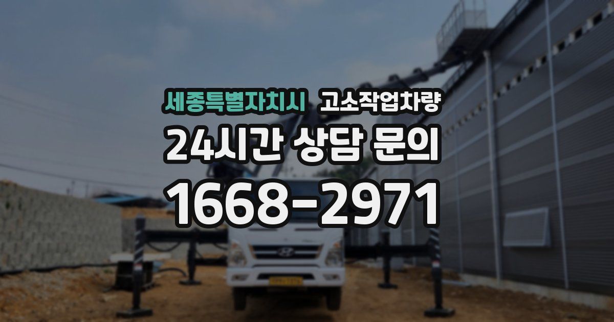 세종특별자치시 고소작업차량