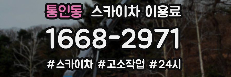 통인동 스카이차 이용료