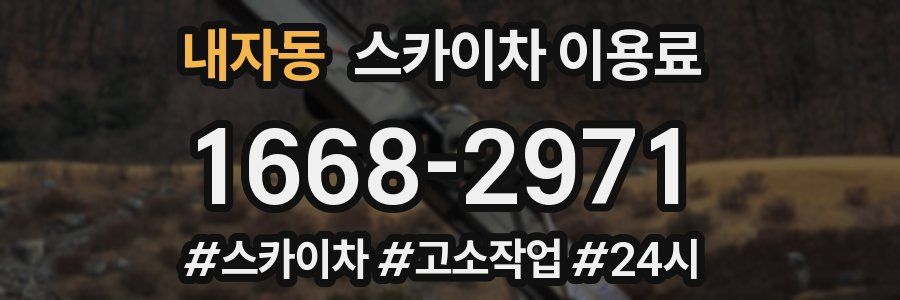 내자동 스카이차 이용료