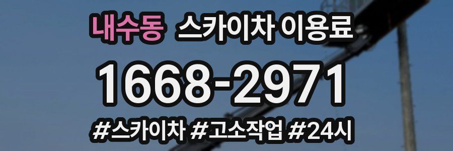 내수동 스카이차 이용료