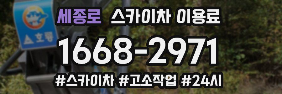 세종로 스카이차 이용료