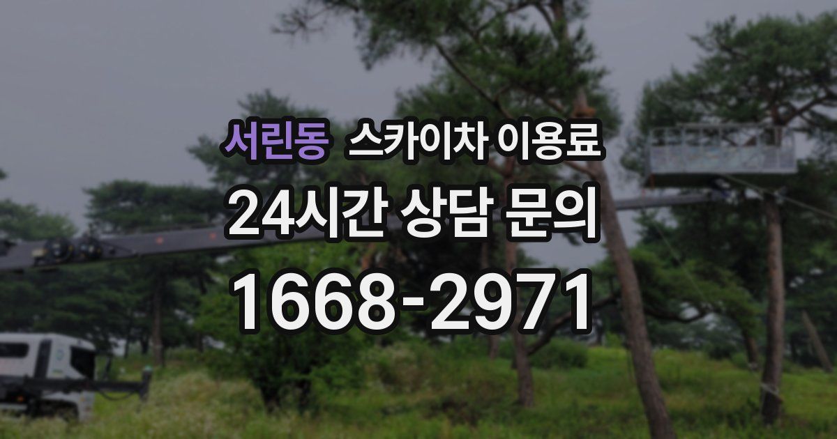 서린동 스카이차 이용료