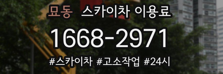 묘동 스카이차 이용료