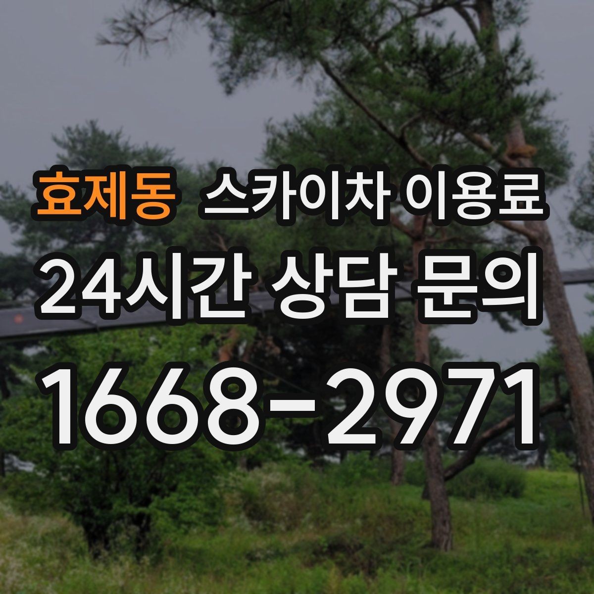 효제동 스카이차 이용료 산정 시 기본료와 추가 요금 구분하기