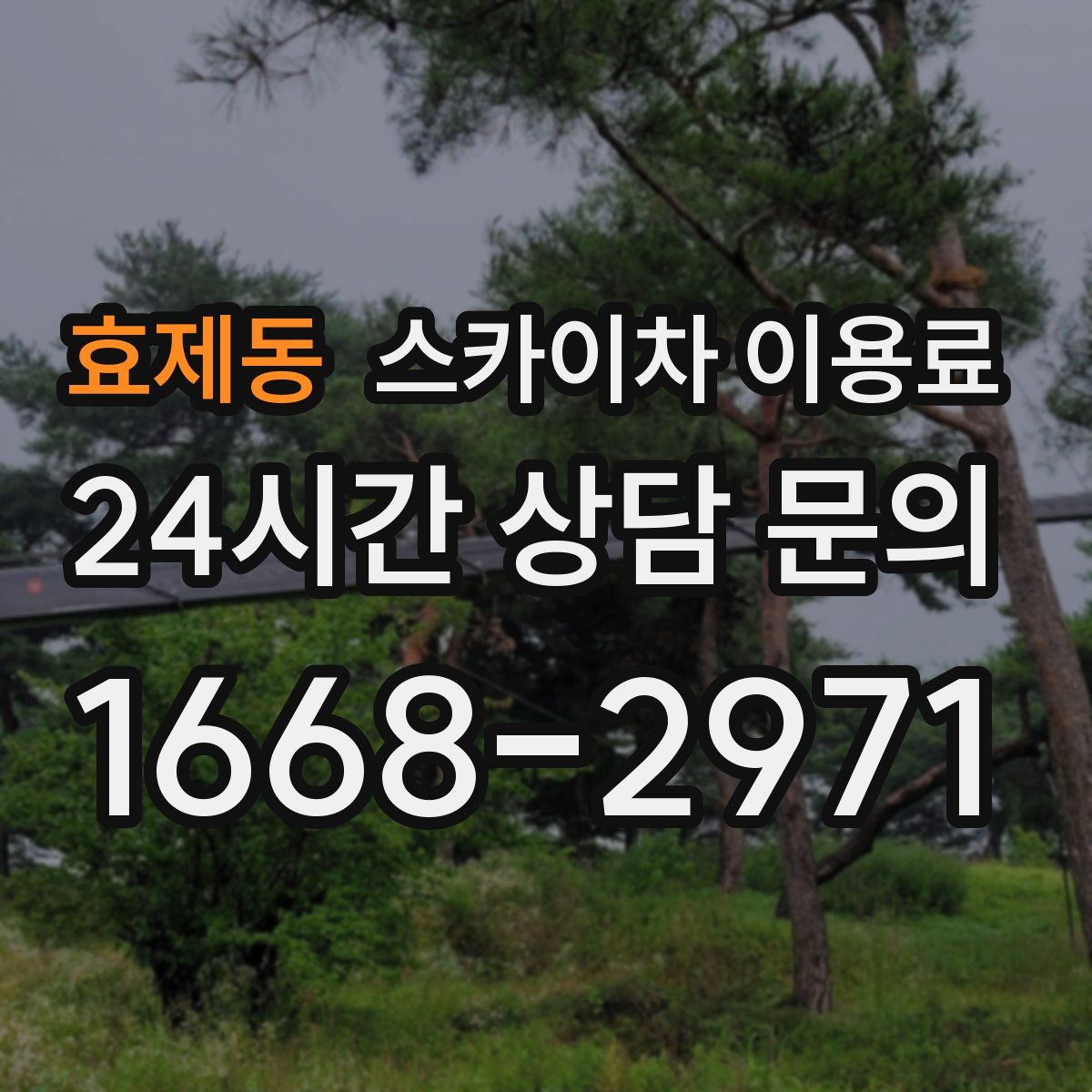 효제동 스카이차 이용료