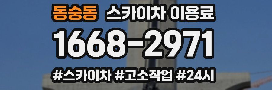 동숭동 스카이차 이용료