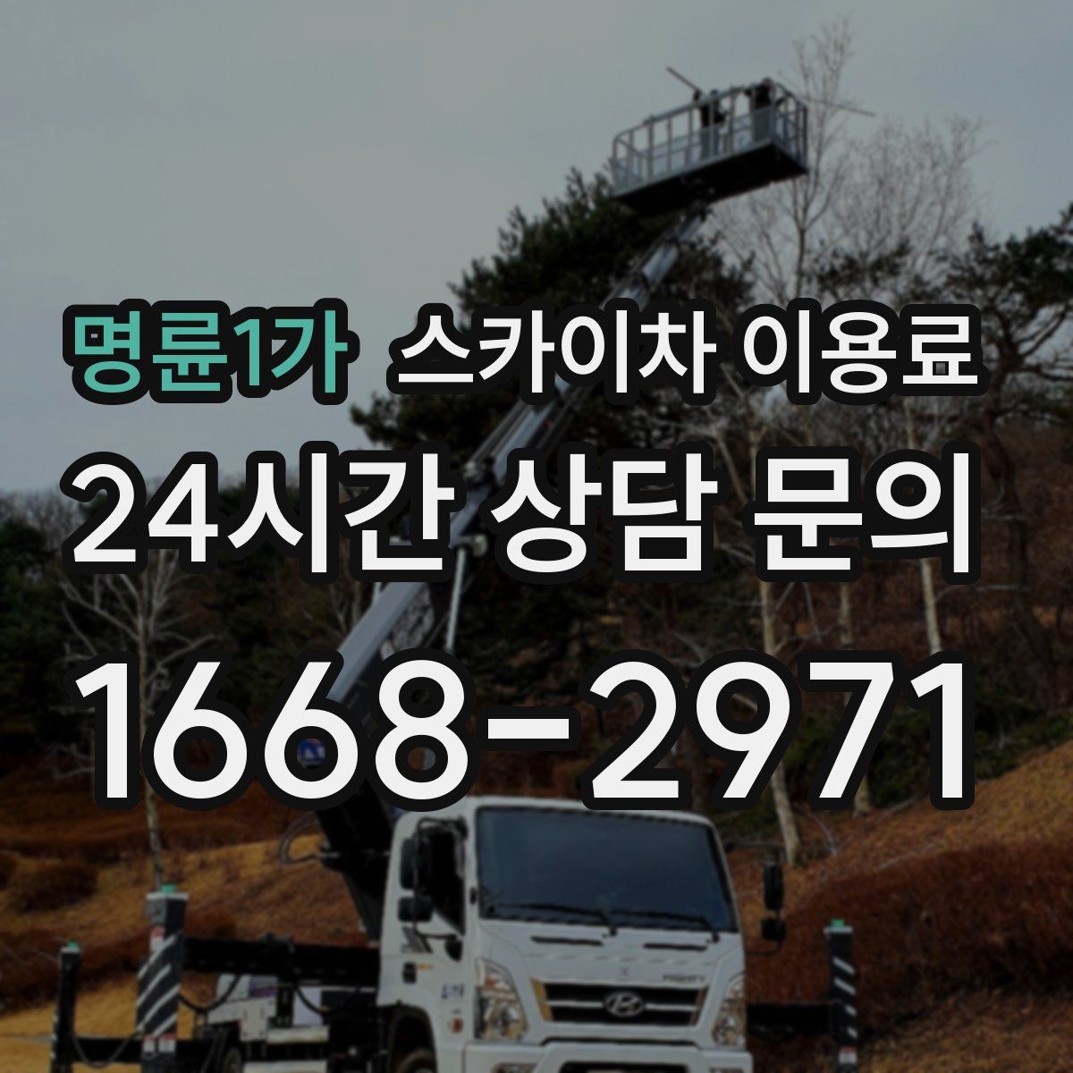 명륜1가 스카이차 이용료