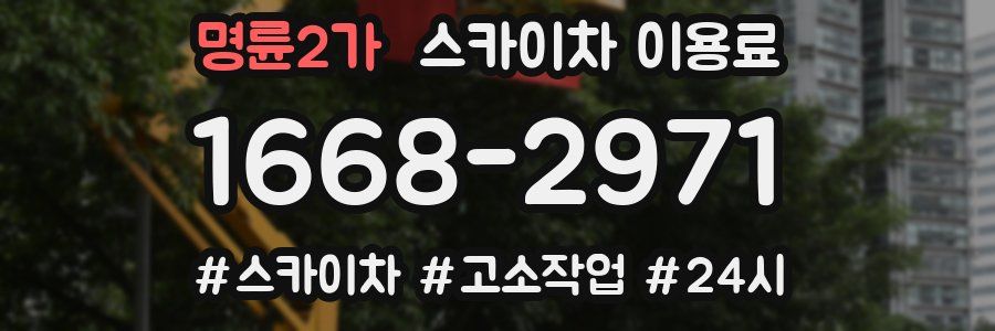 명륜2가 스카이차 이용료