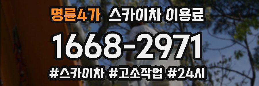 명륜4가 스카이차 이용료
