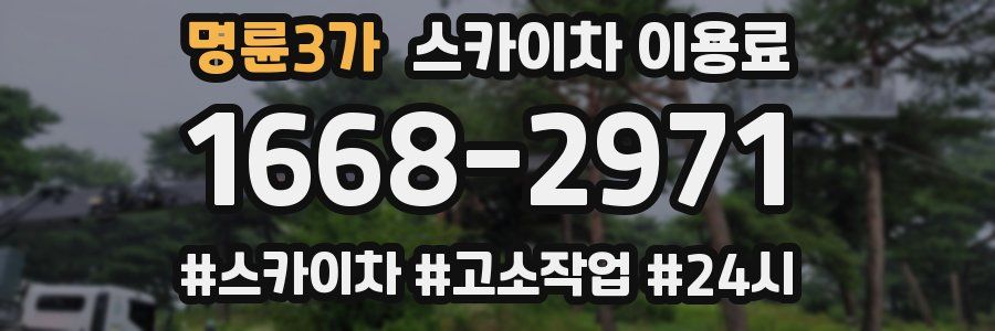 명륜3가 스카이차 이용료