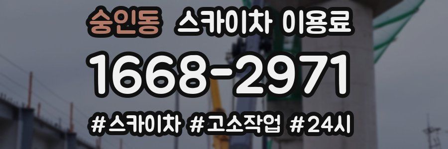 숭인동 스카이차 이용료