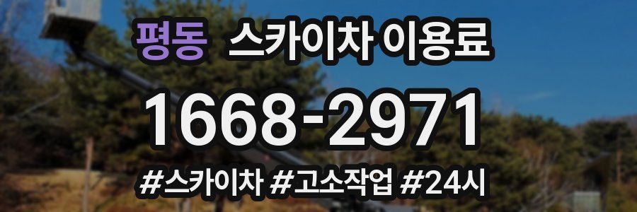 평동 스카이차 이용료