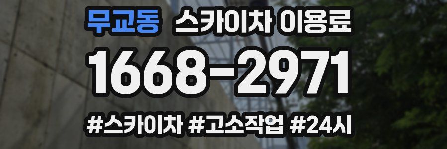 무교동 스카이차 이용료