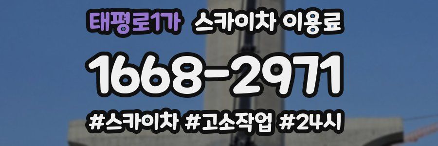 태평로1가 스카이차 이용료