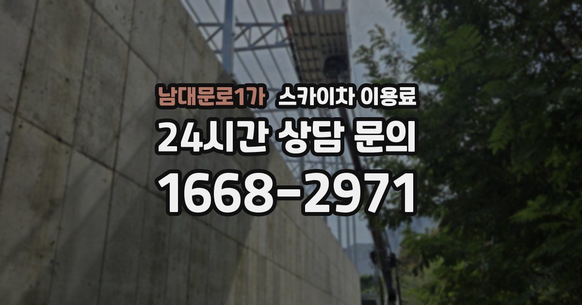 남대문로1가 스카이차 이용료