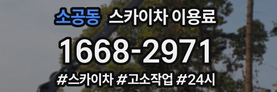 소공동 스카이차 이용료