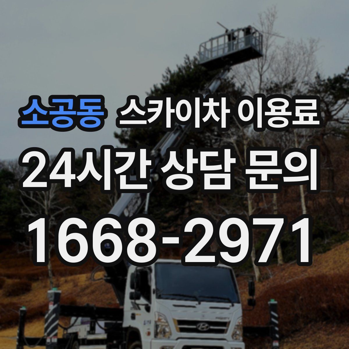 소공동 스카이차 이용료