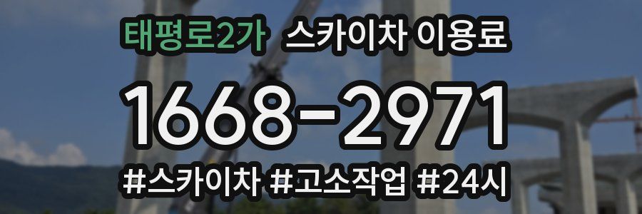 태평로2가 스카이차 이용료