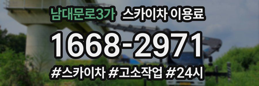 남대문로3가 스카이차 이용료