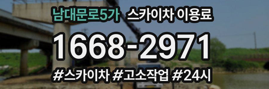 남대문로5가 스카이차 이용료