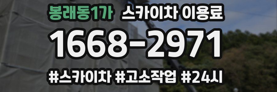 봉래동1가 스카이차 이용료
