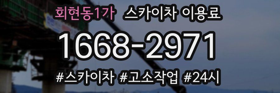 회현동1가 스카이차 이용료