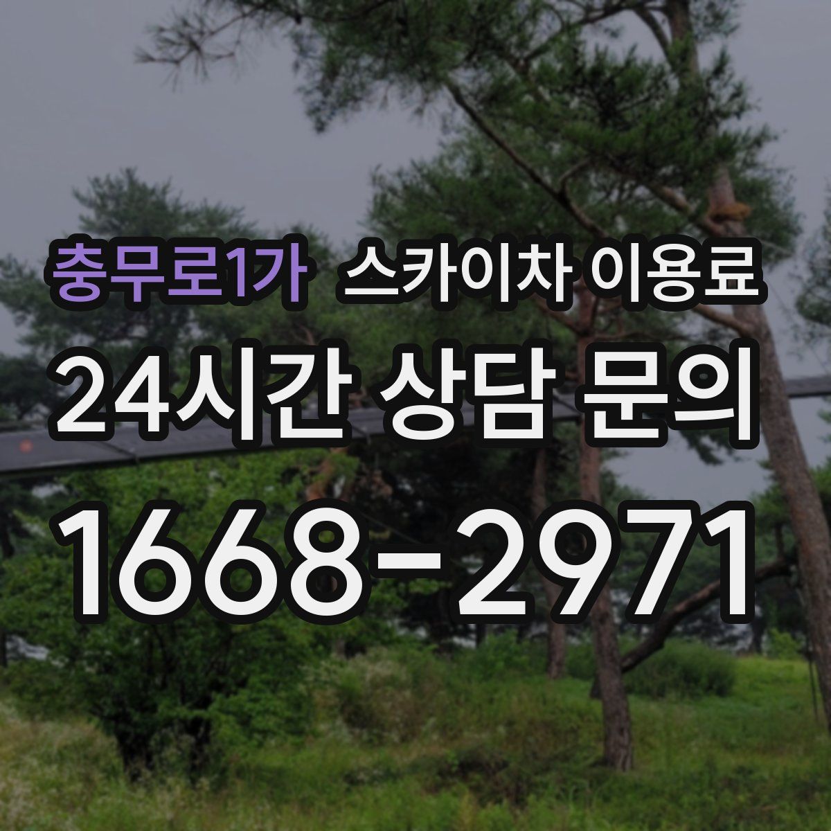 충무로1가 스카이차 이용료