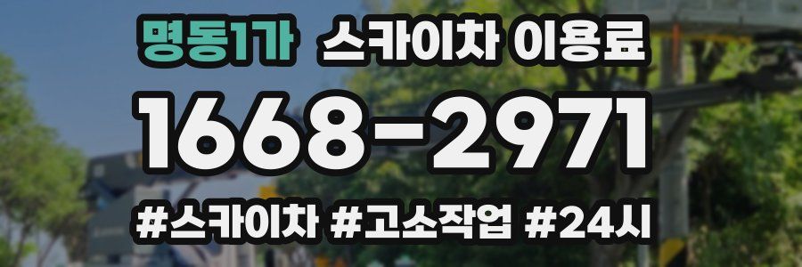 명동1가 스카이차 이용료