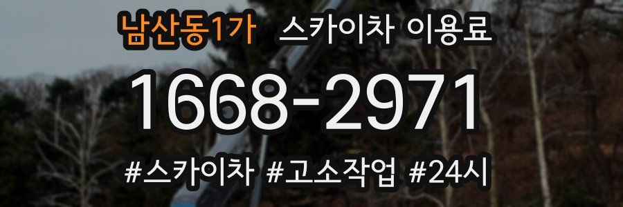 남산동1가 스카이차 이용료