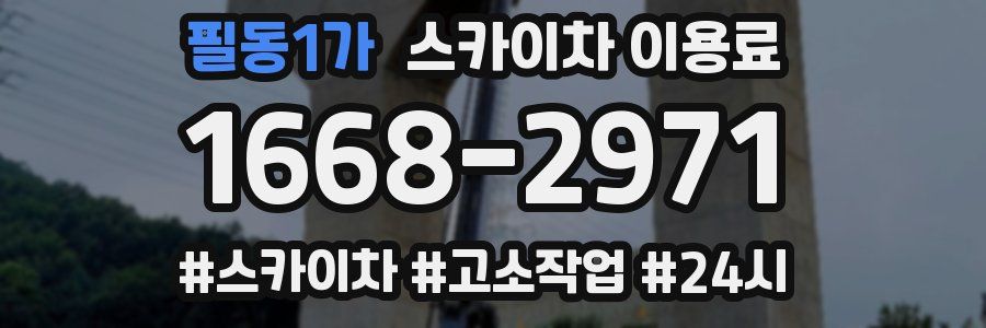 필동1가 스카이차 이용료
