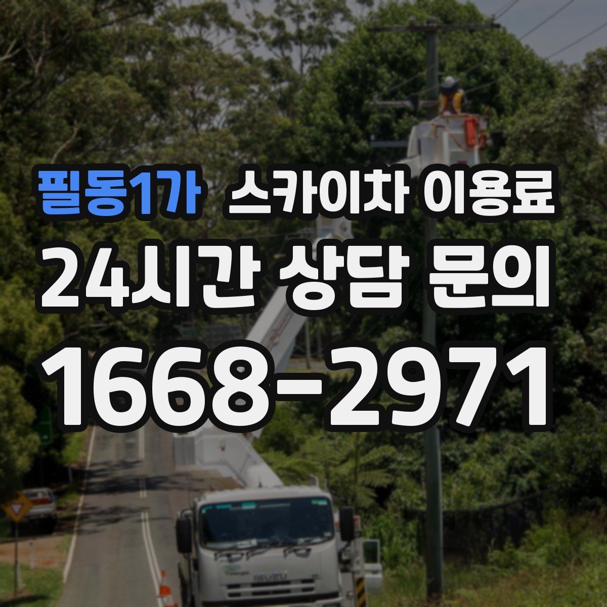 필동1가 스카이차 이용료