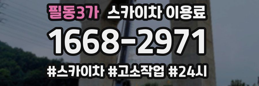 필동3가 스카이차 이용료