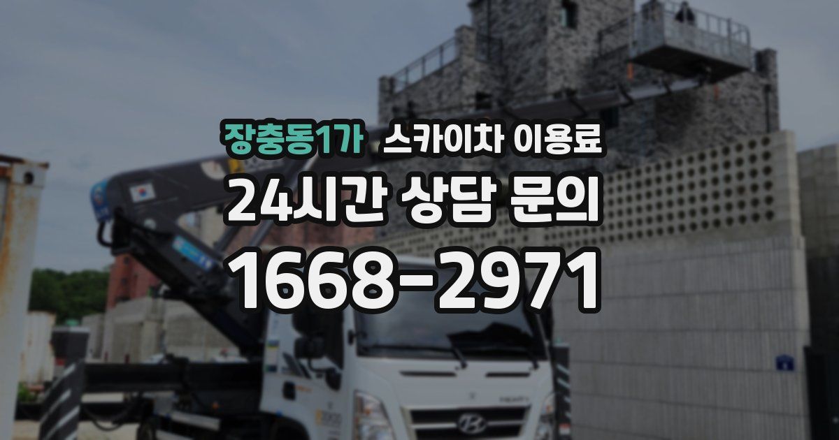 장충동1가 스카이차 이용료
