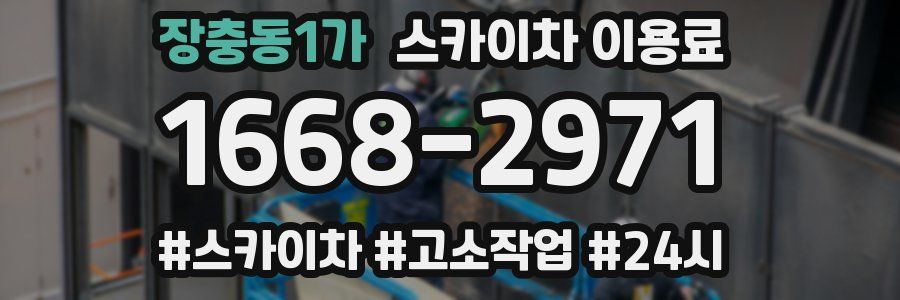 장충동1가 스카이차 이용료
