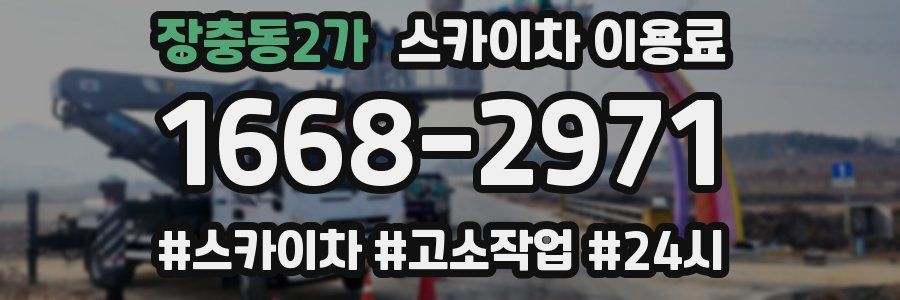 장충동2가 스카이차 이용료